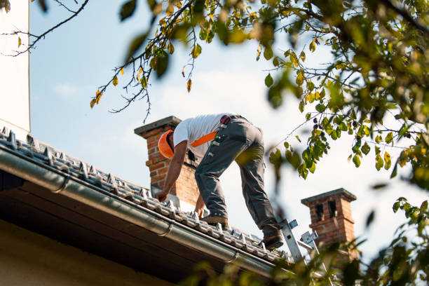 Best Roof Repair Services  in West Point, VA