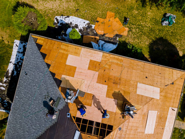 Best Metal Roofing Contractor  in West Point, VA